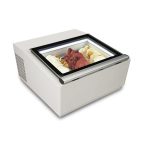 Glasskyl display -bordsmodell